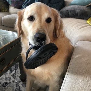 Meet your Posher, Leigh